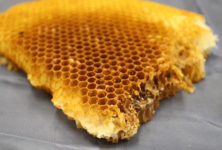 DELAVNICE NA OŠ RAKEK 27 FOTO LJUBO VUKELIČ